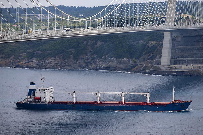 afrika mat ukraina spannmål.jpg