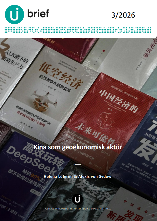 Kina som geoekonomisk aktör