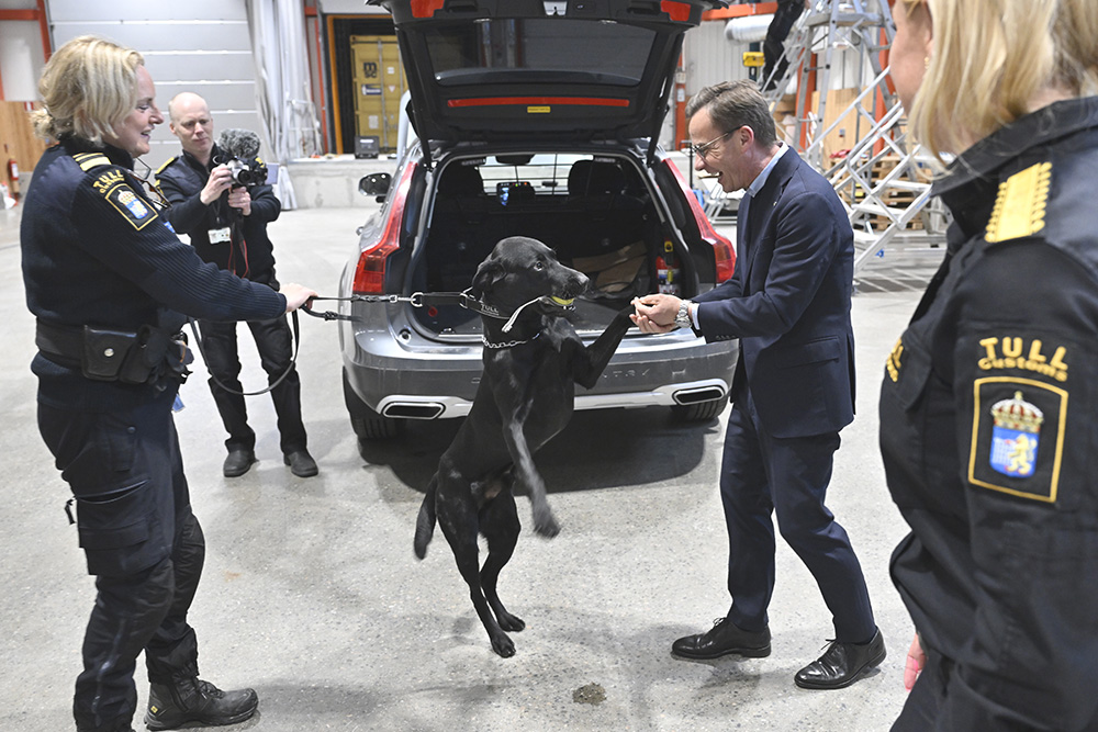 knark hund kristersson.jpg