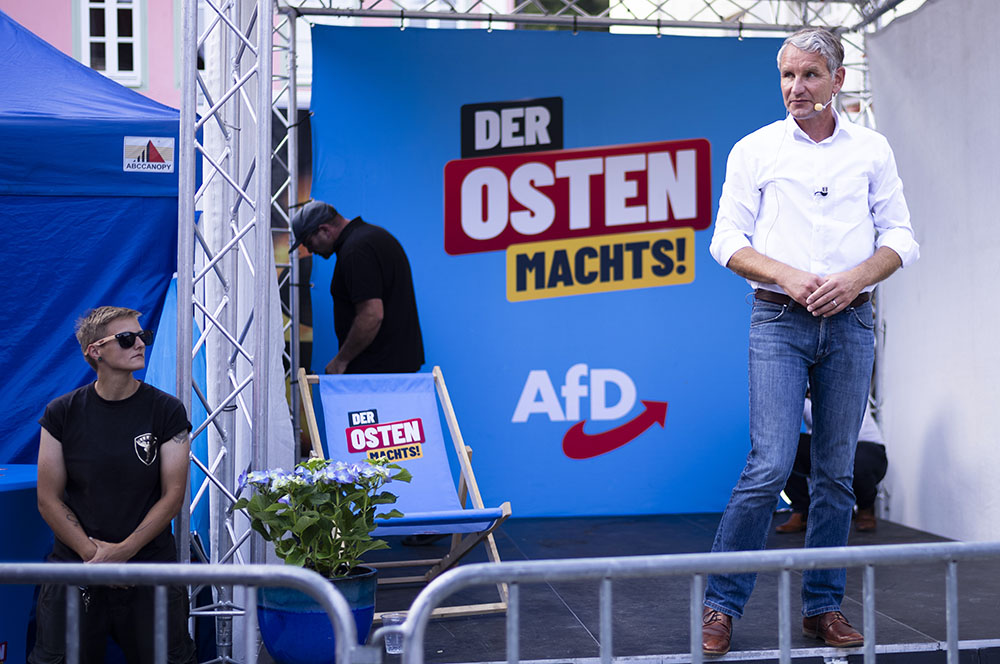 tysk afd höcke.jpg