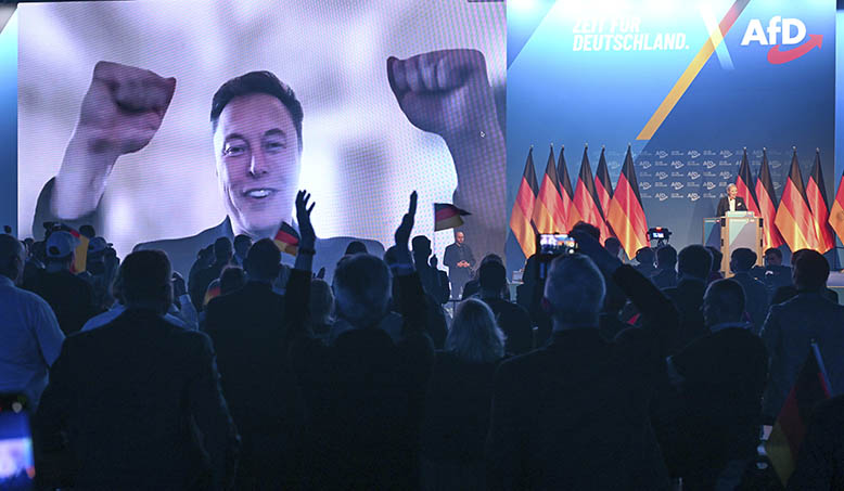 villepin musk afd.jpg