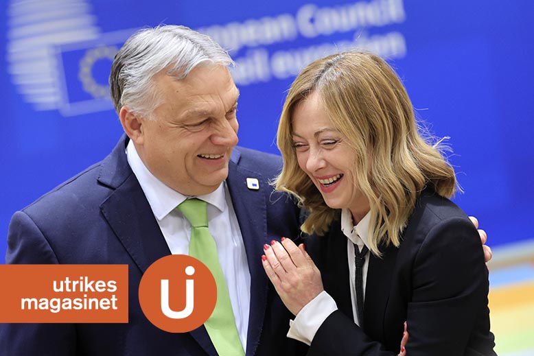 Högerns dilemma: isolera eller samarbeta?