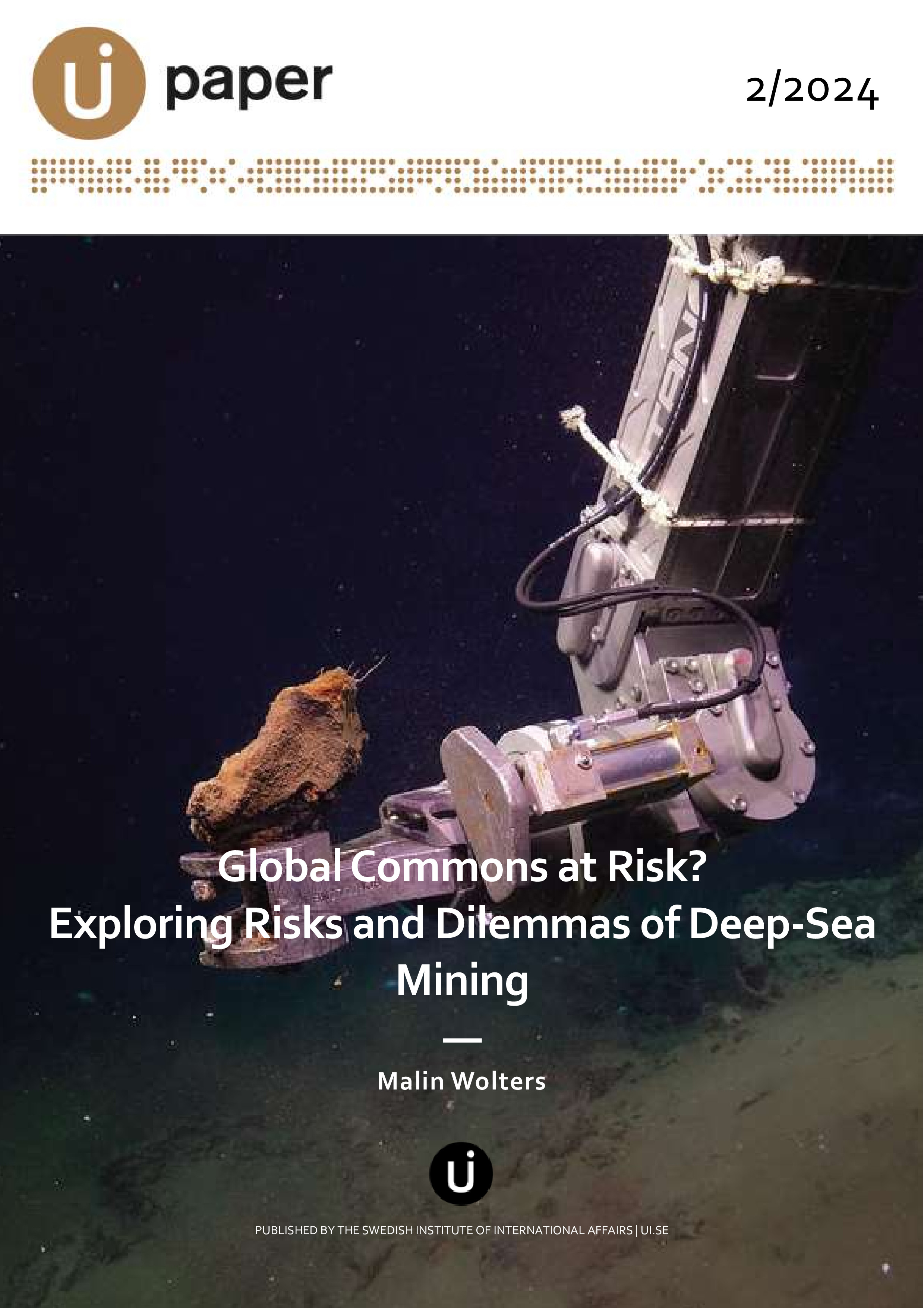 Global Commons at Risk? Exploring Risks and Dilemmas of Deep-Sea Mining