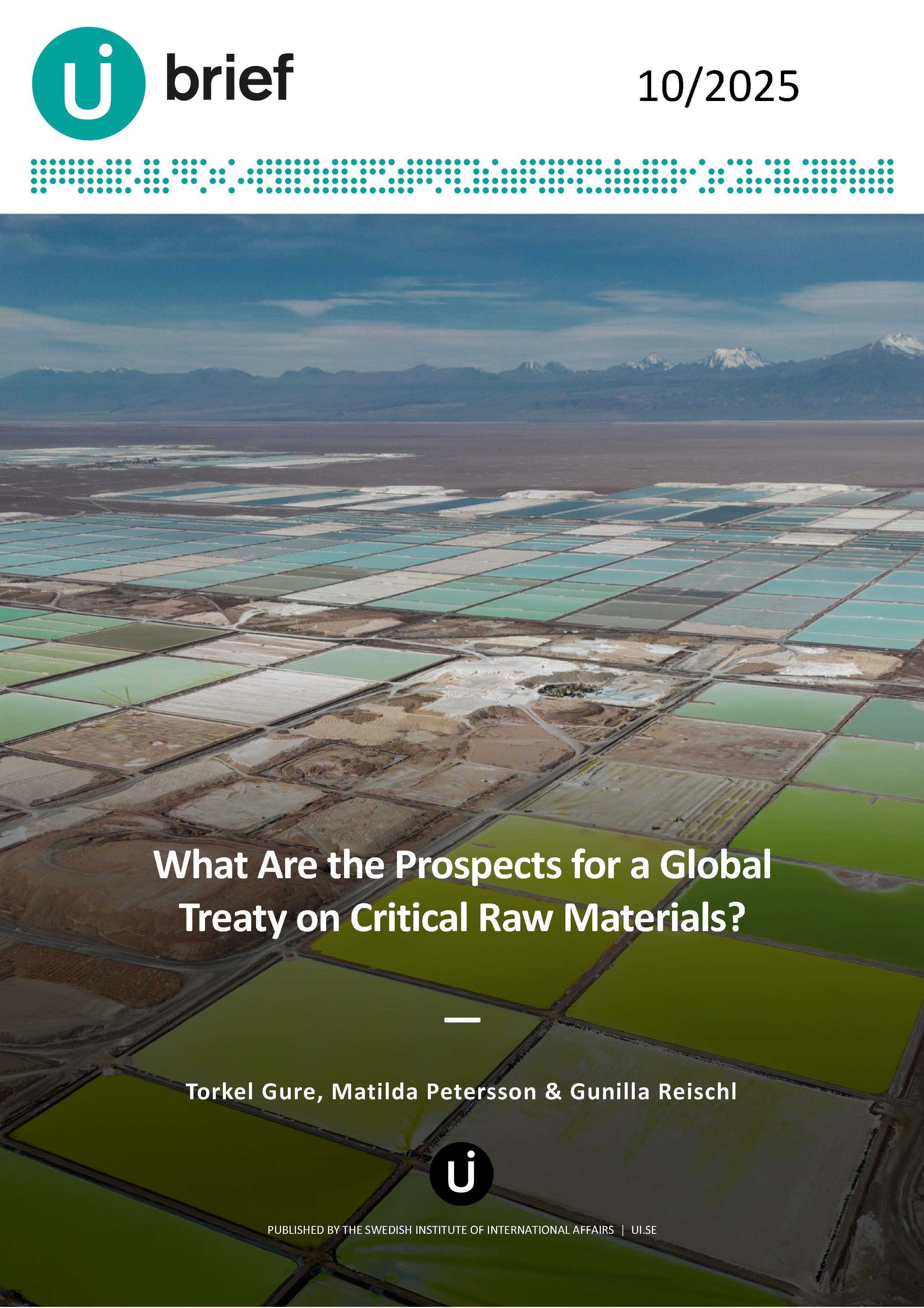 What Are the Prospects for a Global Treaty on Critical Raw Materials?