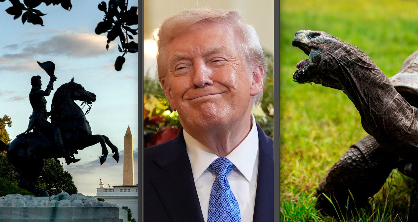 goda nyheter jackson trump jonathan.jpg